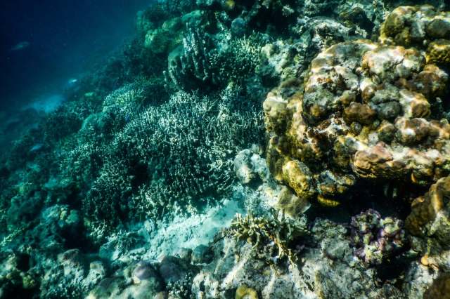 "A subtle yet poignant reminder."