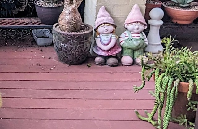 "This is incredible!"