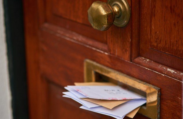 "They appear to not understand that your perennials are in fact ‘food.’"