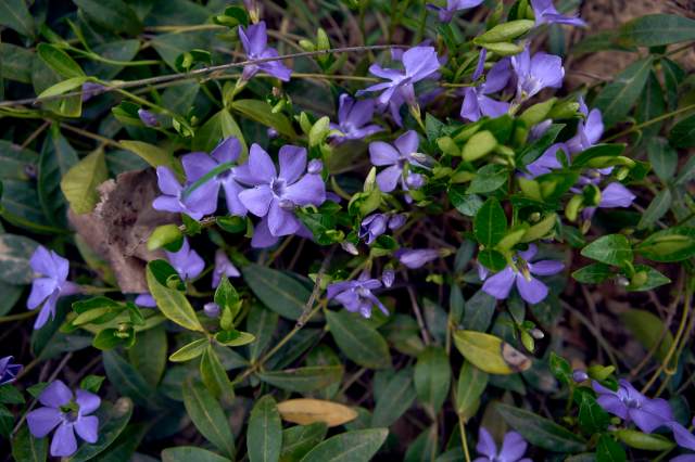 The homeowner was destined for an uphill battle.