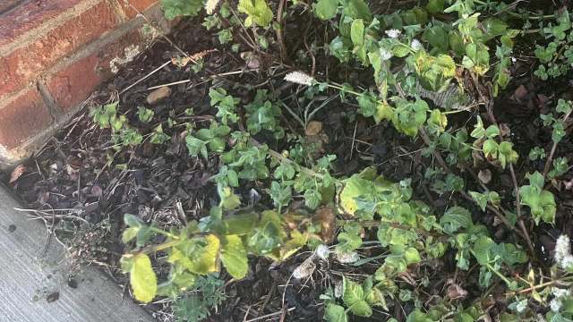 Commenters jumped in with theories and potential solutions.