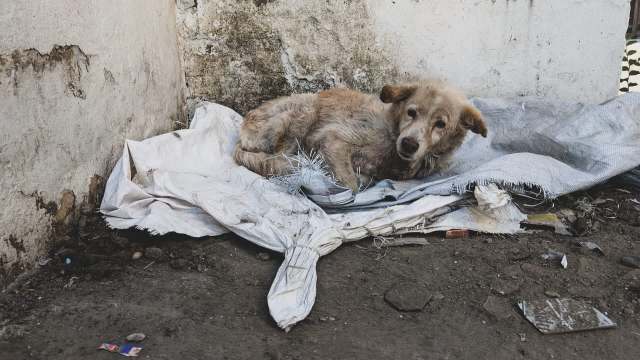 "This is not an isolated case."