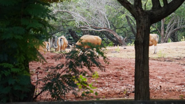 The video sparked outrage.