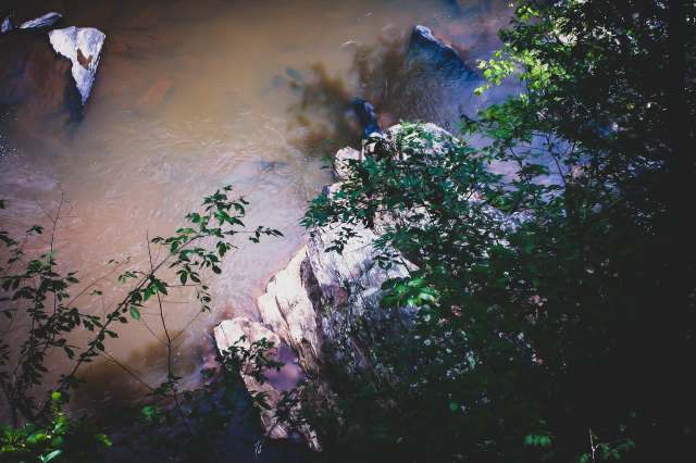 "Lives were lost by ... negligence."