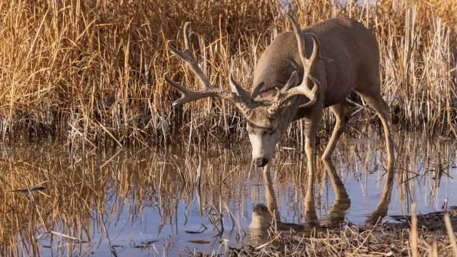 Officials found the implicating remains in a nearby garbage dump.