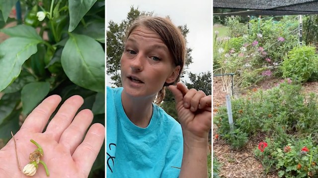 "If you use pesticides, you’re the issue."