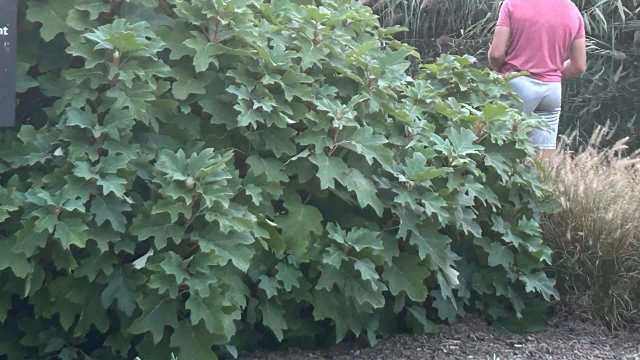 "The sign is right there."