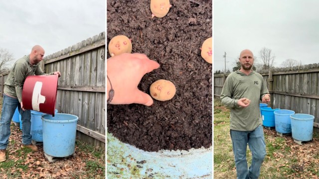 "My husband is going to make me stop following you."