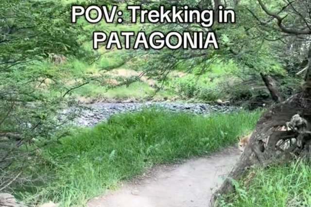 "Cool and at the same time scary experience."