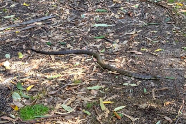 "Just seeing that amount in one group ..."