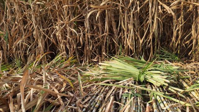 All of this has a snowball effect.