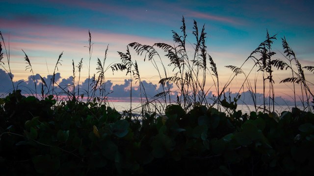 "It should be kind of an emergency management response like a hurricane."