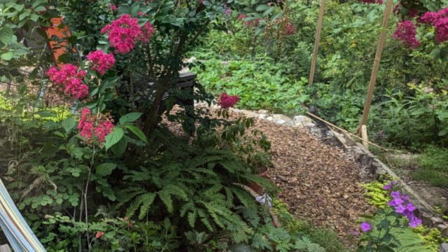 "Enjoy the surprises your garden brings."