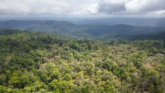 "The concessions will last 35 years and aim to transform environmental restoration into a business model."