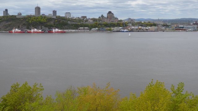 "We take incidents like this very seriously."