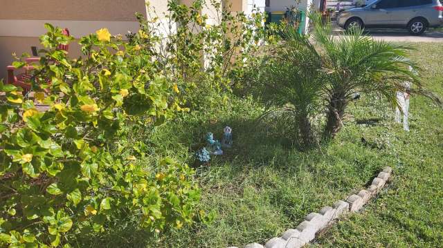 "I could give you a long list of all the ways [it] sucks."