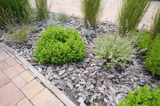 "I think it's served his goals."