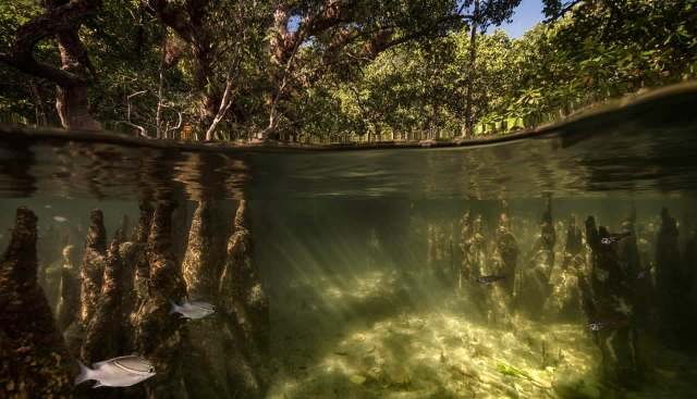 "They're spending more time ... at night."