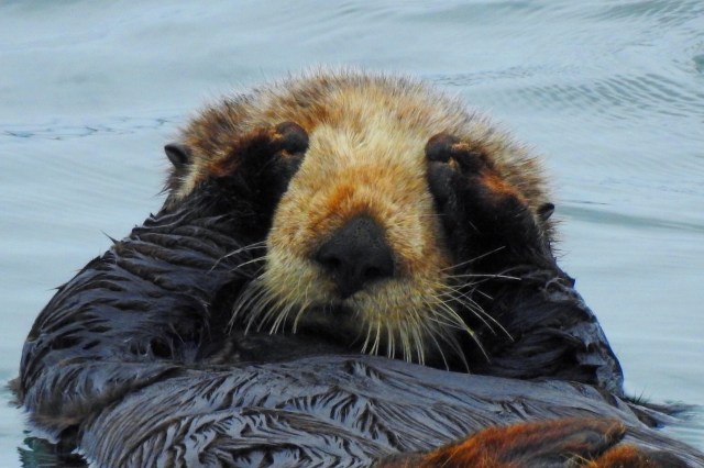 "People are getting too close."