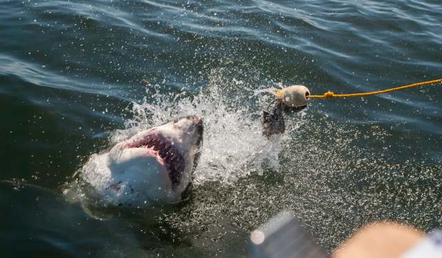 "The sooner the better."