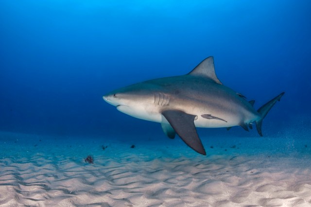 "Next thing I noticed, I was under the water."