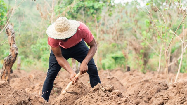 What happens to farmers in one part of the world today may have broader implications.