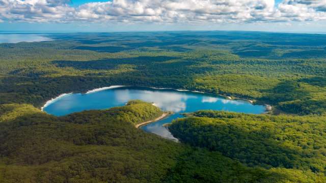 "What we're trying to do is identify what the risk pathways are."