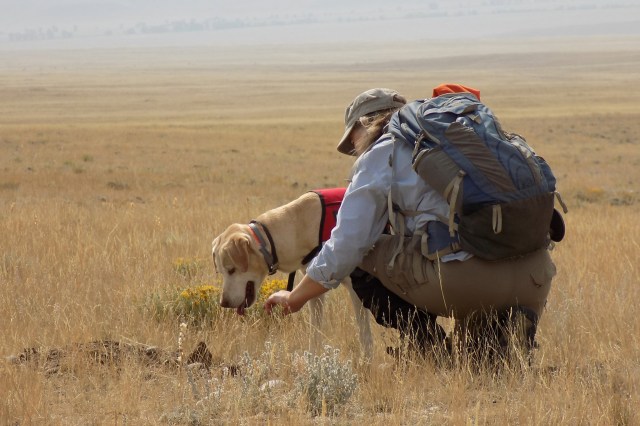 The problem these teams are helping solve is urgent.