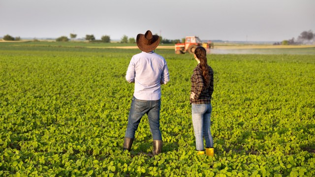 "We decided kind of to set our own table."