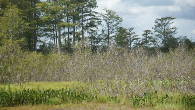 "We have worked hard to improve our state parks."