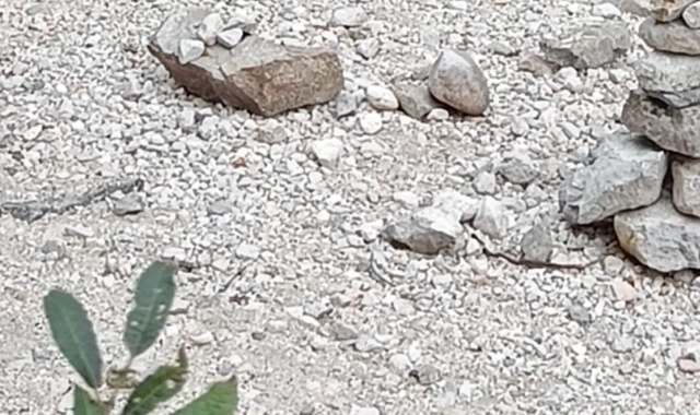 "It does annoy me to see this kind of thing."