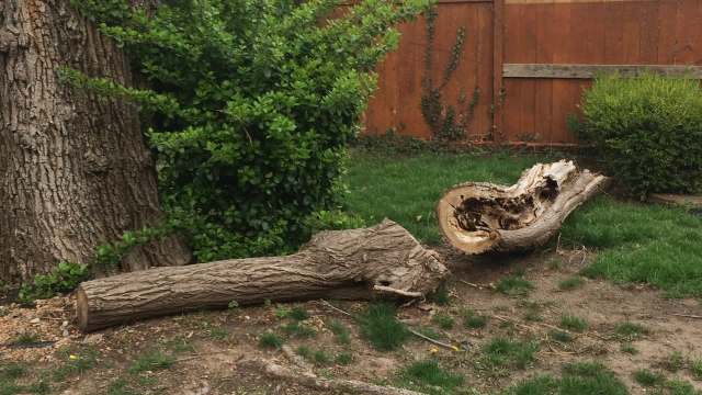 "You can't win either way."