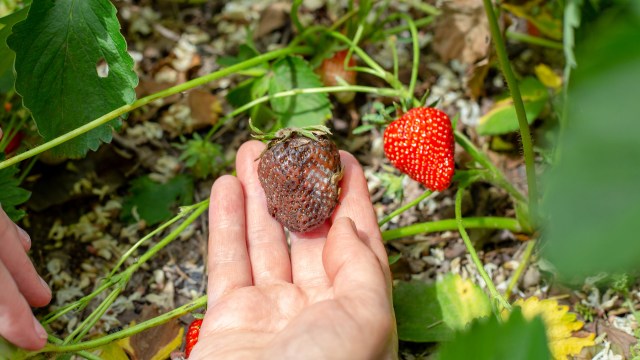 On the consumer level, these changes mean that certain products may soon become limited.