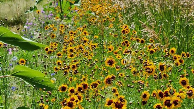 This Redditor isn't alone in their fight.