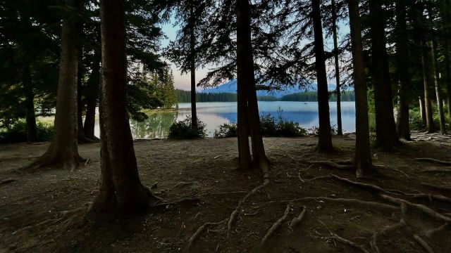 "If a black bear becomes habituated to humans or food conditioned, they may become increasingly bold or destructive."