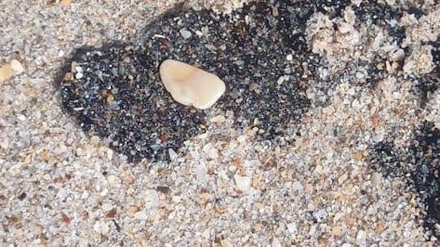 "I haven’t seen it this bad in a very long time."