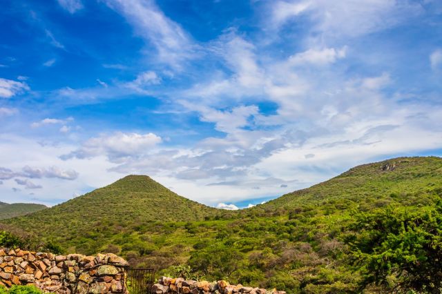 The team launched the research project in 2019 and collected more than 70,000 data points over four years.