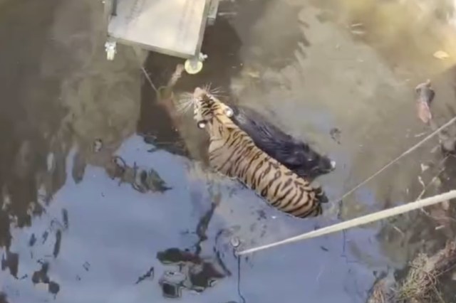 "Every life matters."