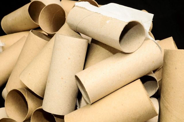 Keep your plants watered and in a sunny spot, and in a few weeks you should have seedlings to transfer to your garden.