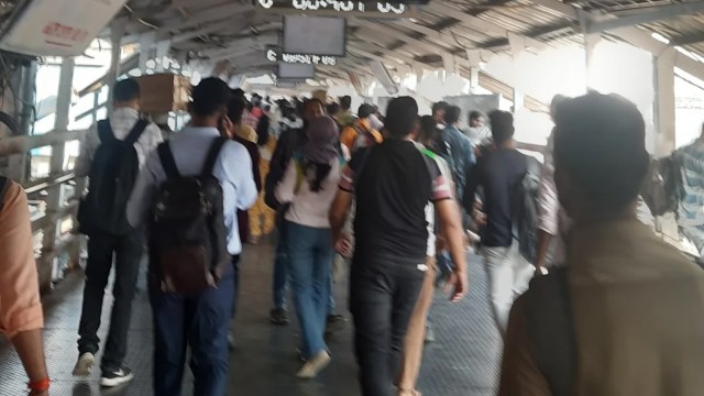 "Is this a government or some business?"