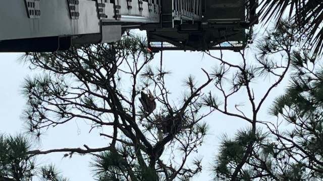 "Their mission goes beyond putting out fires."