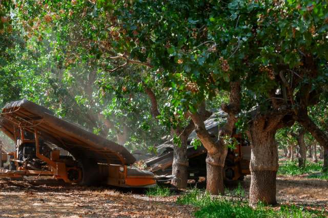 People all over the planet are looking to solve a food crisis before it happens.