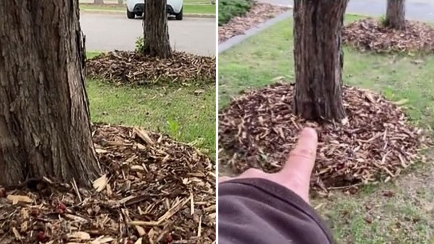 Homeowner horrified by damaging trend in local neighborhood landscaping: 'I have told people not to do it'
