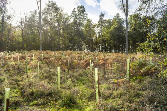 The project will continue for another three years.