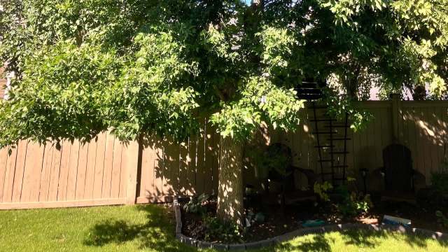 "It's not in the best shape, but it's still far healthier than any ... of its species I've seen in a while."