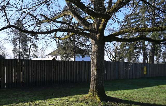 "They say those documents were not transferred to them."