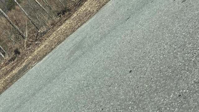 "If they were alive, someone was either clueless, scammed, or both."