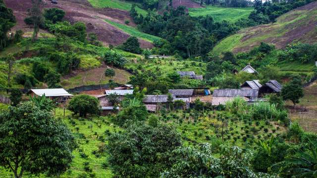 Nearly all of them are facing harm because of human activities.