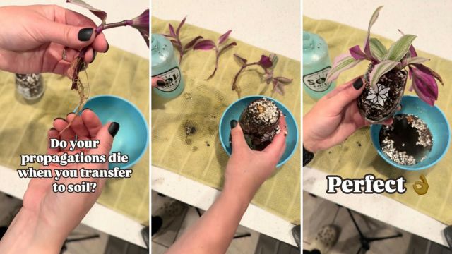 "I have to try this!"