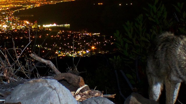 "I’ve heard a lot from people on the ground."